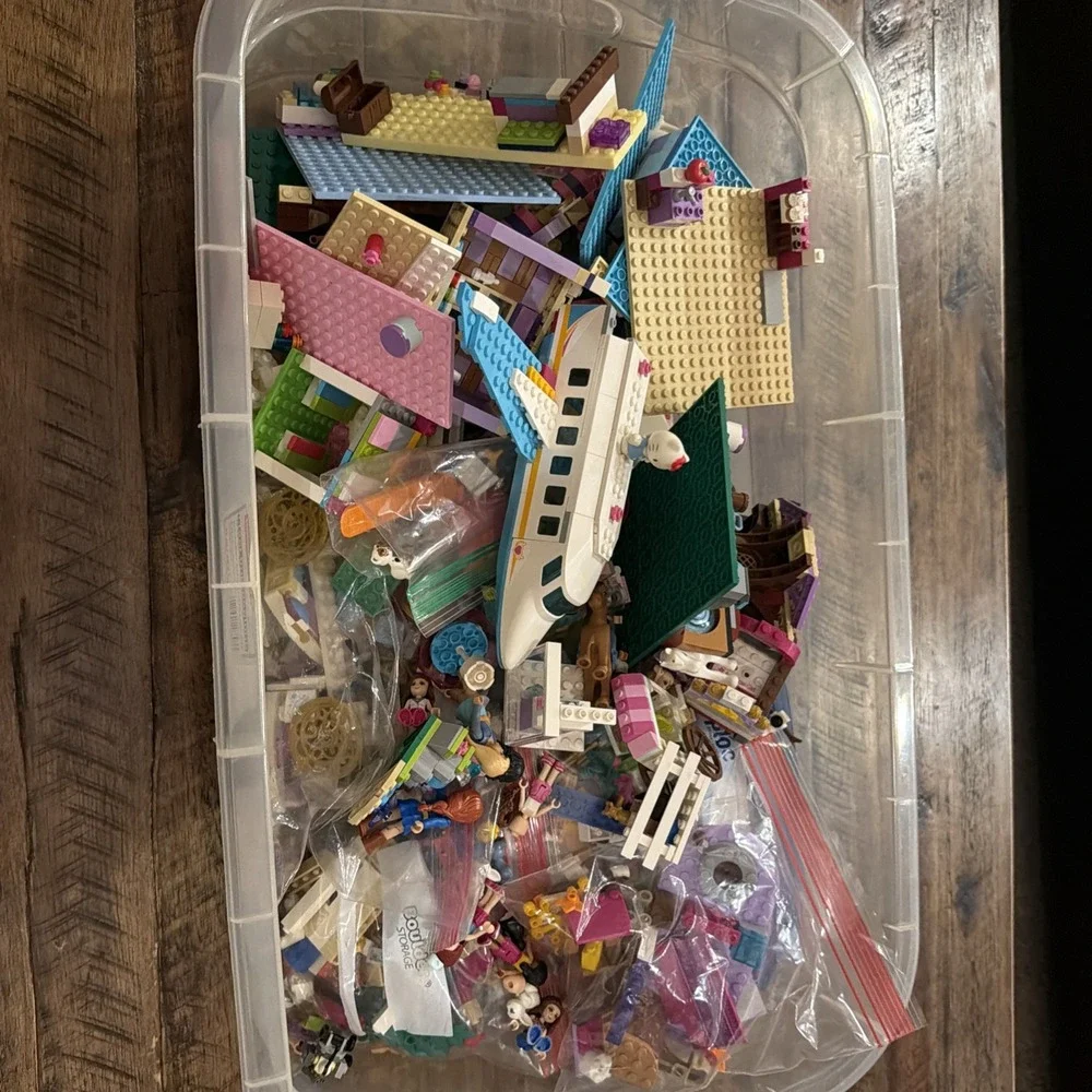 LEGO Friends Mini Dolls Animals Accessories Plane Van Manual Disney Sets Parts